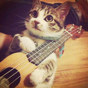 动漫人物涌二次元人物免费高清
